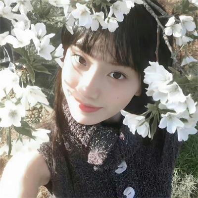 隋唐英雄