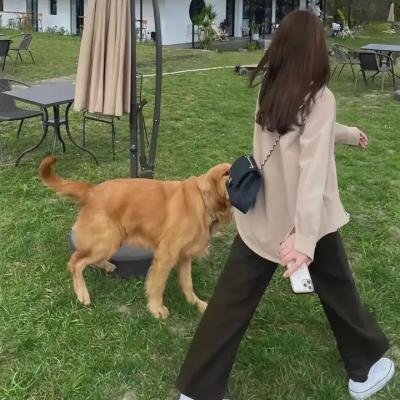 凭什么爱你